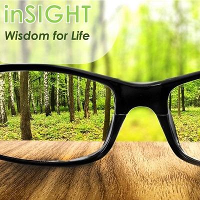 inSIGHT