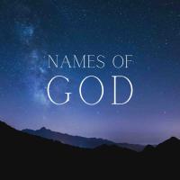 Provider - Genesis 22:1-19